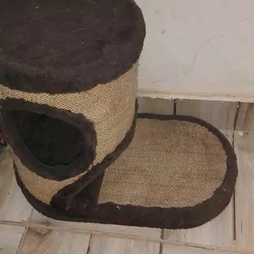 когтеточка