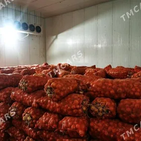 ️ Arenda Holodilnik