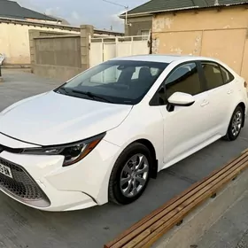 Toyota Corolla 2021