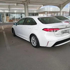 Toyota Corolla 2020