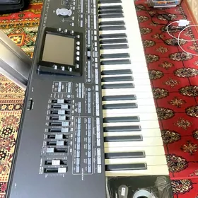 Korg pa3x