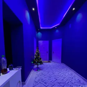 Duzmergen satlyk jay