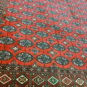 Haly. Халы. Кавёр.