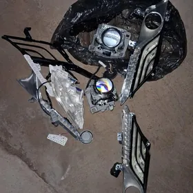 18-24 cemry gash lupa