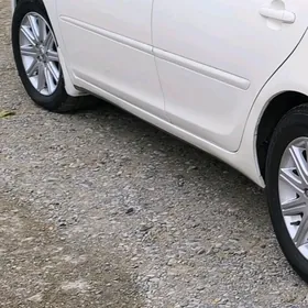 16 lyk gran diska abmen