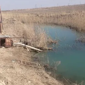 Satlyk Yer, jaÿ,malÿatak.