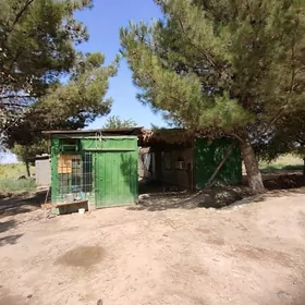 Ùzùmcilik mellek yer