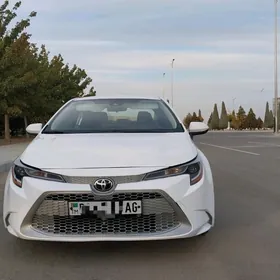 Toyota Corolla 2021