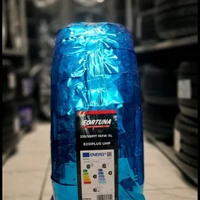 FORTUNA 25YYL 2355517 4ST 4000