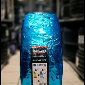 FORTUNA 25YYL 2454019 1ST 1100