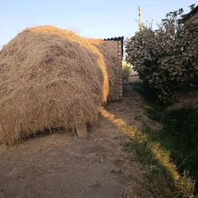 Mal ot yorunja garysyk