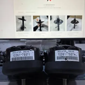 ORG PODUSKA MOTORYNKY 2.7