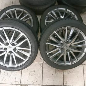 18lik kemri disga yewropeyka