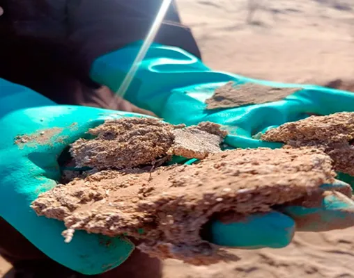 Türkmen alymlary çölleşmä garşy göreşmek üçin bionanokompozit material döretdiler