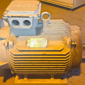 elekto dwigtel. genrator