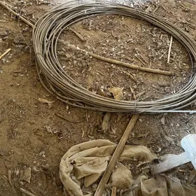 tok cekilyan wsoky sim 7zyla