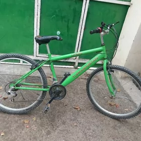 tigir Turkmenistan gyssagly ul