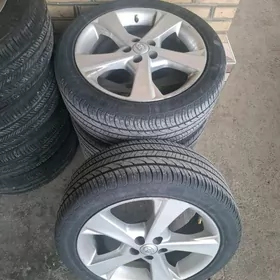 karola excusiv diska teker