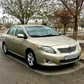 Toyota Corolla 2009