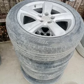 17lik diska pakriska