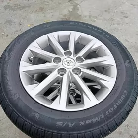 16 radnoy palta disga pakrysga