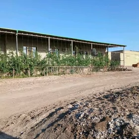 Фулл Участка дом 16 сотык