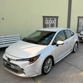 Toyota Corolla 2021