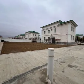 ÇOGONLY KOTEŹ 5 KOM