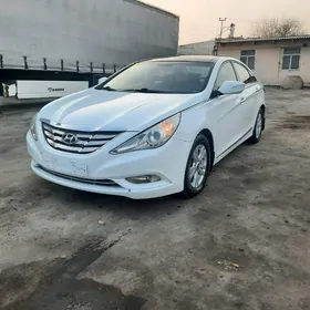 Hyundai Sonata 2010