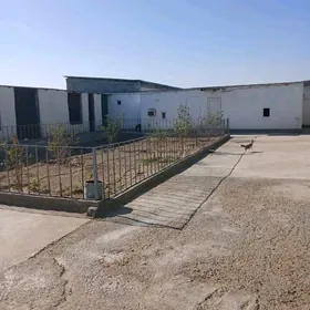 Anew plan satlyk jay