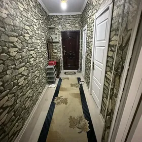 Mir7 gysdagly satlyk jay