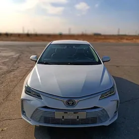 Toyota Corolla 2021