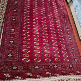 Satlyk Haly Ковёр