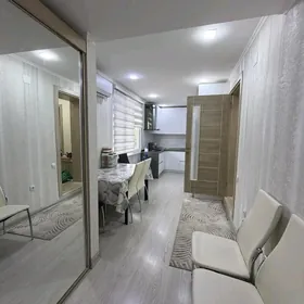 ceremuska satlyk jay