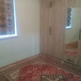 coganly plan jay abmen