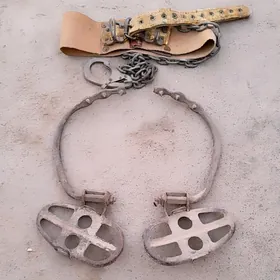 Agaç stalba çykylýan