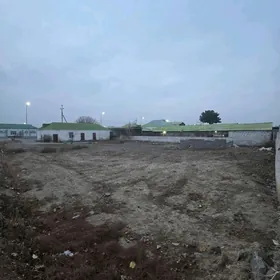 Gypjak bos mellek 16 sotok