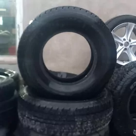 15 lik pakrisga jiplere