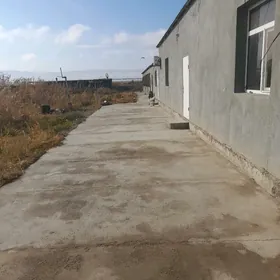 Satlyk  14. pemka jay