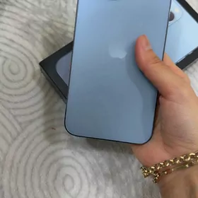 IPHONE 13 PRO MAX 256GB