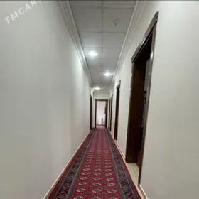 Maskowski elitka amatly