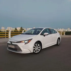 Toyota Corolla 2020