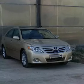 Toyota Camry 2010