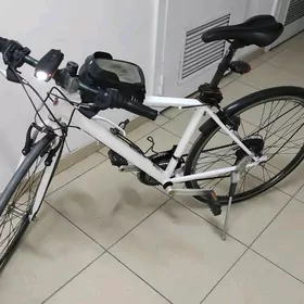 Tigir Original Spartiwnyy