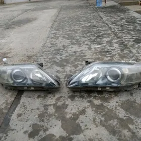 Öküz kelle önki fara angar