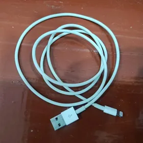 iPhone zaryatnik kabel