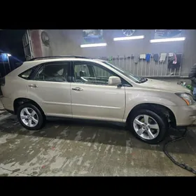 Lexus RX 330 2004