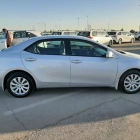 Toyota Corolla 2014