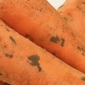 Käşir (морковь)