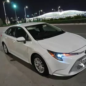 Toyota Corolla 2020